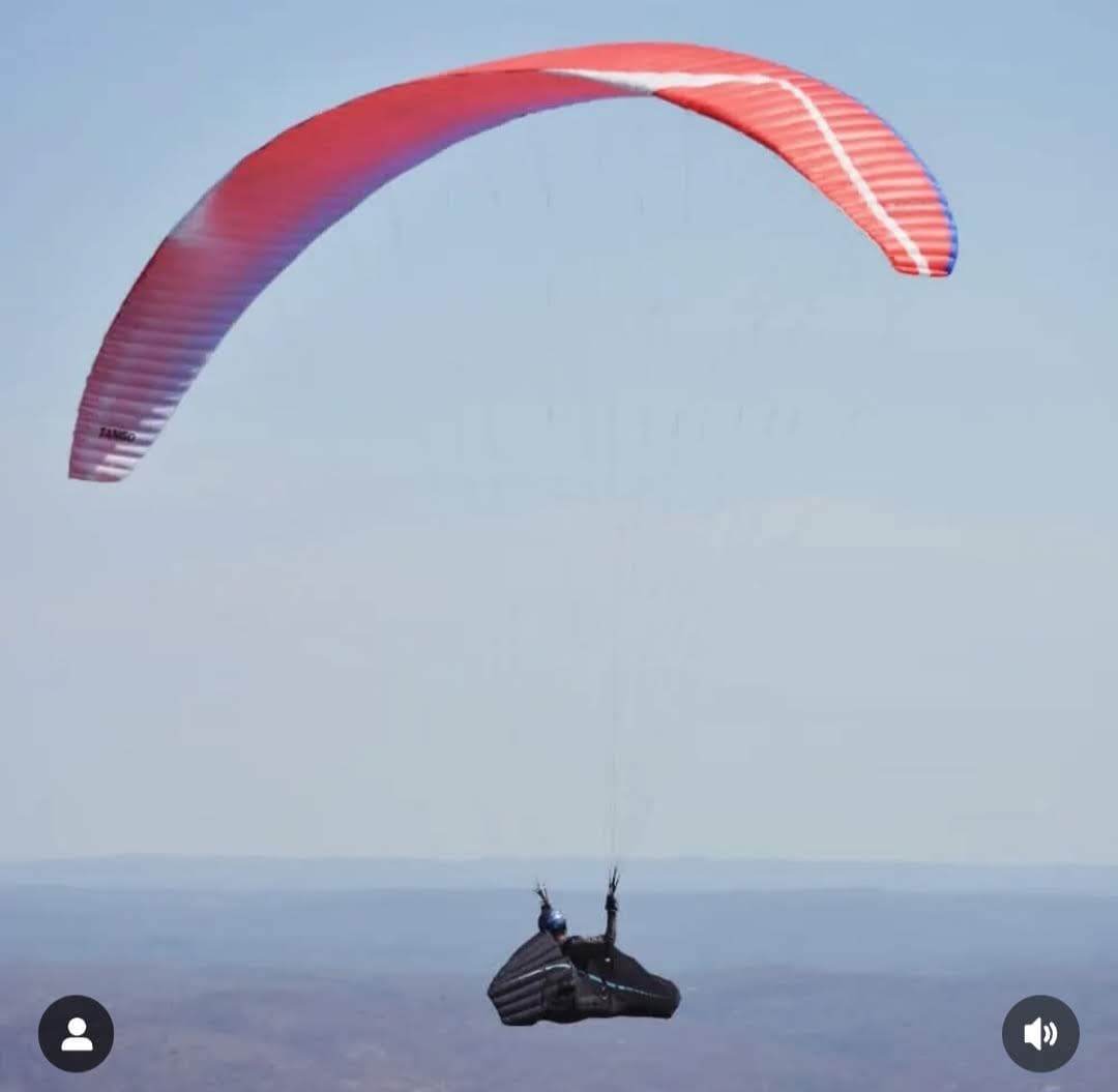 Davinci Tango C 3 líneas 2022 - 90hs - Talle S